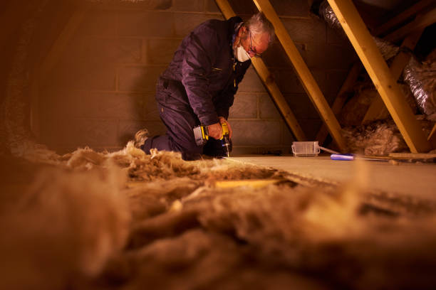 Best Crawl Space Insulation  in Pico Rivera, CA